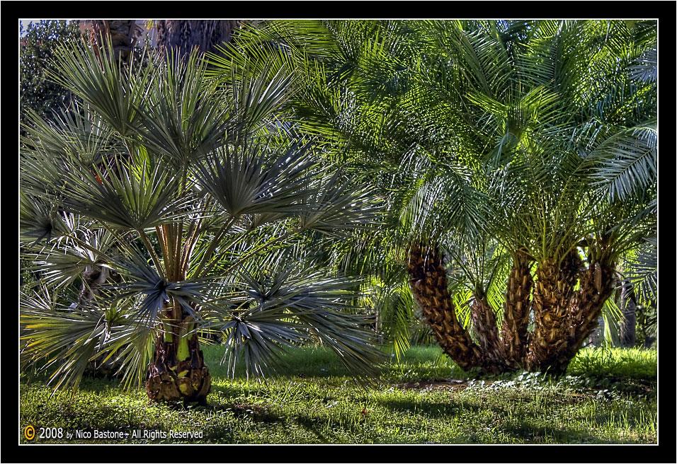 Orto_Botanico_HDR_ (08).jpg